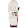 Варежки DAKINE POINTER MITT HCSC RAINBOW Размер S 10001995 (0610934301144)