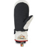 Варежки DAKINE POINTER MITT HCSC RAINBOW Размер XL 10001995 (0610934301168)