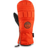 Варежки DAKINE POINTER MITT WINDELLS Размер M 10001995 (0610934238341)
