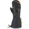 Варежки DAKINE TEAM CONTINENTAL GORE-TEX MITT LOUIF PARADIS Размер S 10002540 (0610934300260)