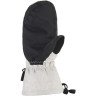 Варежки женские DAKINE CAMINO MITT GLACIER Размер L 10000712 (0610934229264)